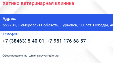 Хатико ветеринарная клиника - визитка