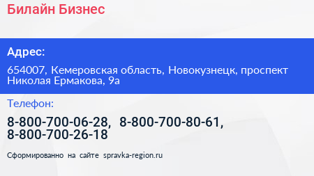 Билайн Бизнес - визитка