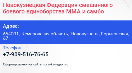 Новокузнецкая Федерация смешанного боевого единоборства ММА и самбо - визитка