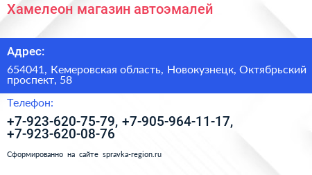 Хамелеон магазин автоэмалей - визитка