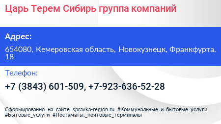 Царь Терем Сибирь группа компаний - визитка