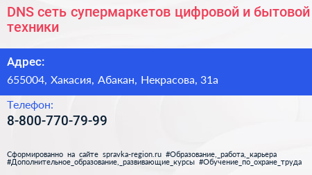 DNS сеть супермаркетов цифровой и бытовой техники - визитка
