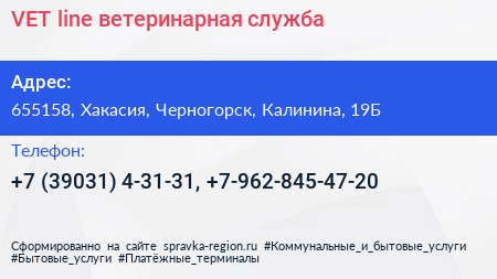 VET line ветеринарная служба - визитка