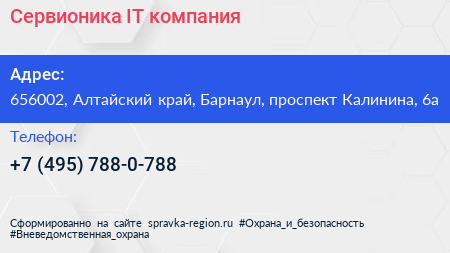 Сервионика IT компания - визитка