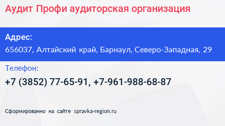 Аудит Профи аудиторская организация - визитка