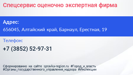 Спецсервис оценочно экспертная фирма - визитка