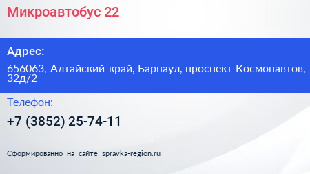 Микроавтобус 22 - визитка