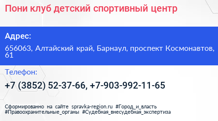 Пони клуб детский спортивный центр - визитка