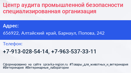 Центр аудита промышленной безопасности специализированная организация - визитка