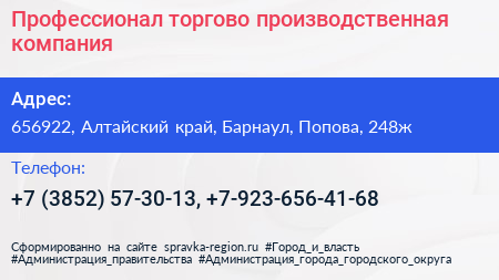 Профессионал торгово производственная компания - визитка