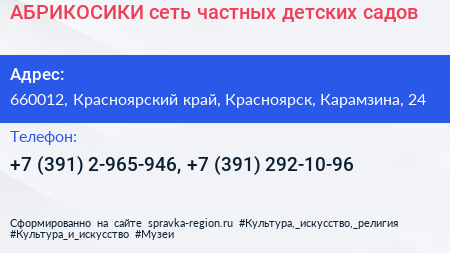 АБРИКОСИКИ сеть частных детских садов - визитка