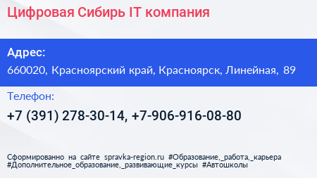 Цифровая Сибирь IT компания - визитка