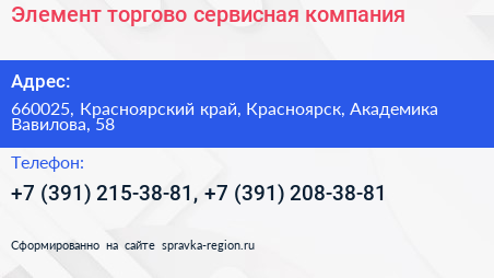 Элемент торгово сервисная компания - визитка