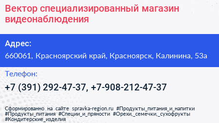 Вектор специализированный магазин видеонаблюдения - визитка