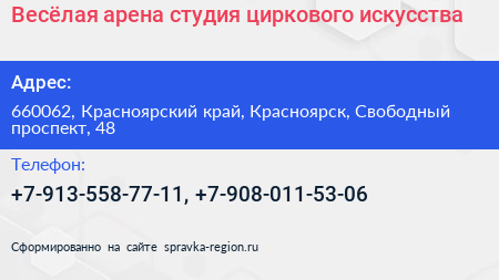 Весёлая арена студия циркового искусства - визитка