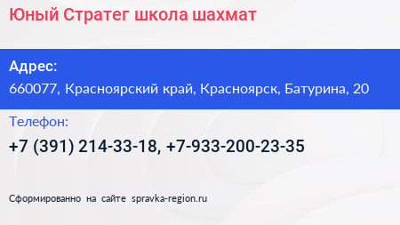 Юный Стратег школа шахмат - визитка