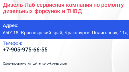 Дизель Лаб сервисная компания по ремонту дизельных форсунок и ТНВД - визитка