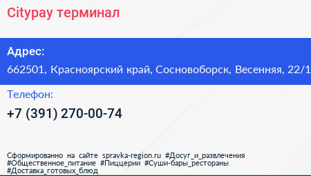 Citypay терминал - визитка