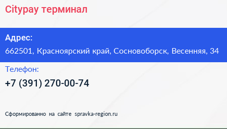 Citypay терминал - визитка