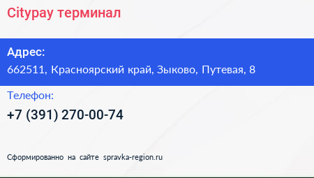 Citypay терминал - визитка