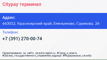 Citypay терминал - визитка