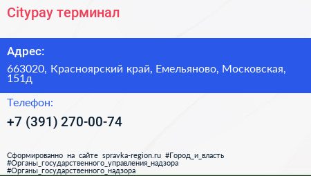 Citypay терминал - визитка