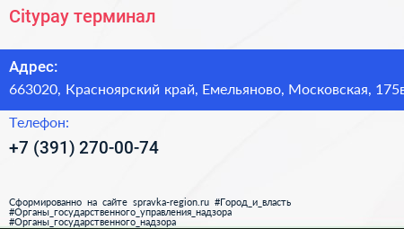 Citypay терминал - визитка