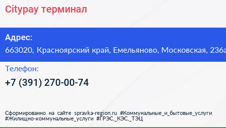 Citypay терминал - визитка
