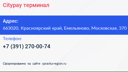 Citypay терминал - визитка