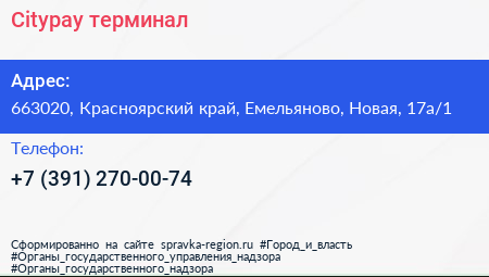 Citypay терминал - визитка