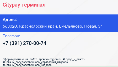 Citypay терминал - визитка