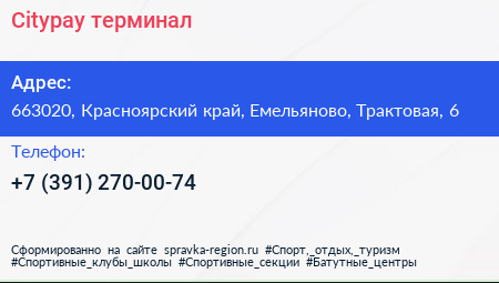Citypay терминал - визитка
