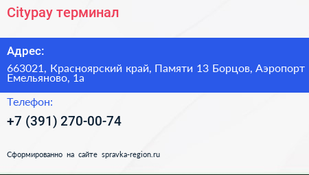 Citypay терминал - визитка