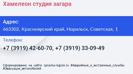 Хамелеон студия загара - визитка