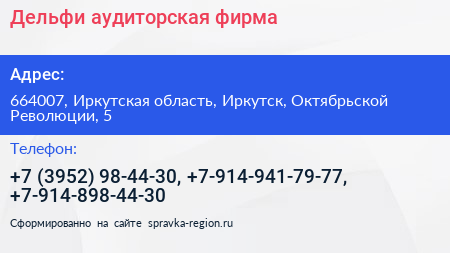Дельфи аудиторская фирма - визитка
