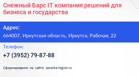 Снежный Барс IT компания решений для бизнеса и государства - визитка