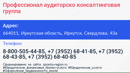 Профессионал аудиторско консалтинговая группа - визитка