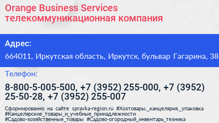 Orange Business Services телекоммуникационная компания - визитка