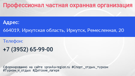 Профессионал частная охранная организация - визитка