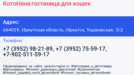 КотоНяня гостиница для кошек - визитка