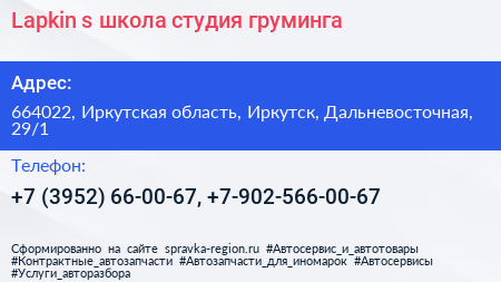 Lapkin s школа студия груминга - визитка