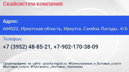 Скайсистем компания - визитка