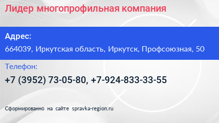 Лидер многопрофильная компания - визитка