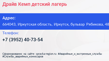 Драйв Кемп детский лагерь - визитка