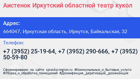 Аистенок Иркутский областной театр кукол - визитка