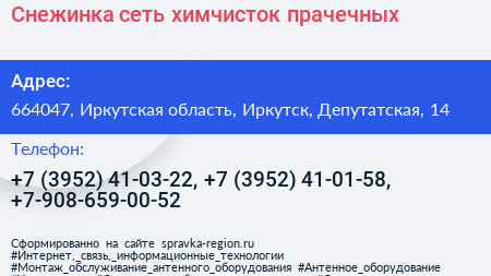 Снежинка сеть химчисток прачечных - визитка