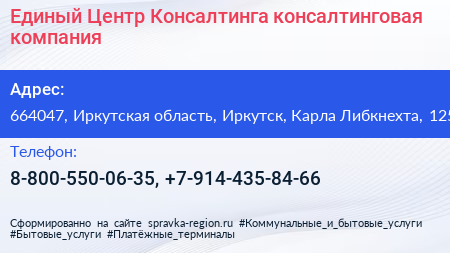Единый Центр Консалтинга консалтинговая компания - визитка