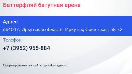 Баттерфляй батутная арена - визитка