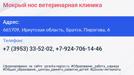 Мокрый нос ветеринарная клиника - визитка