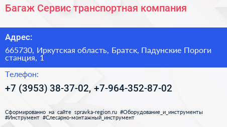 Багаж Сервис транспортная компания - визитка
